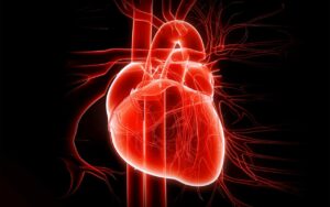 Focus sullo STEMI: i quesiti aperti della fase acuta e della gestione in cronico