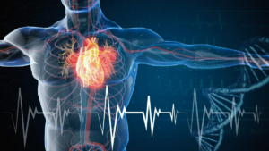 CardioBaggiovara 4° ed Update in Endocardite e Cardiomiopatie